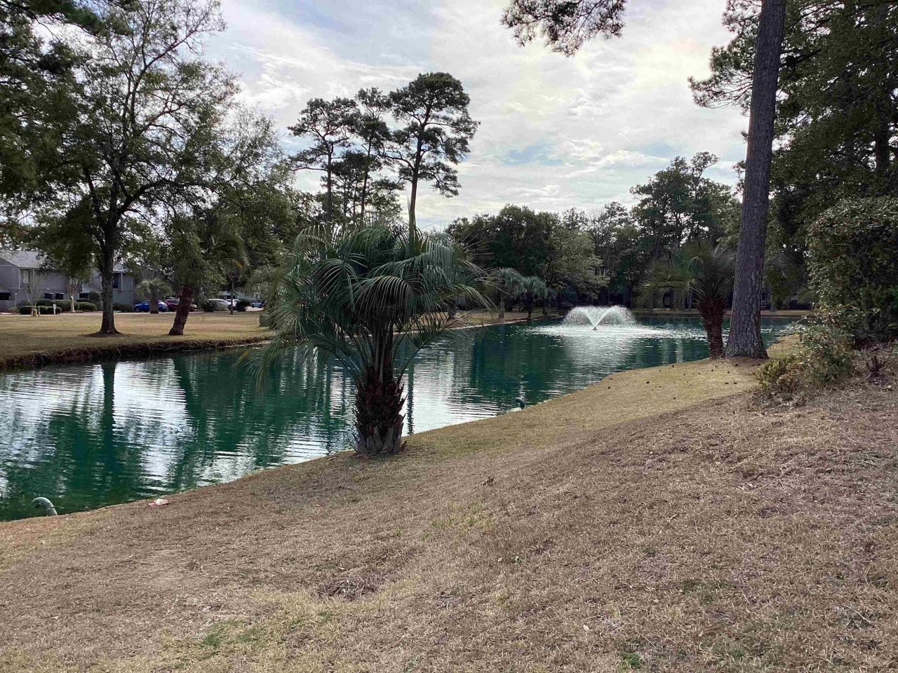 409 Salt Marsh Circle Photo 21