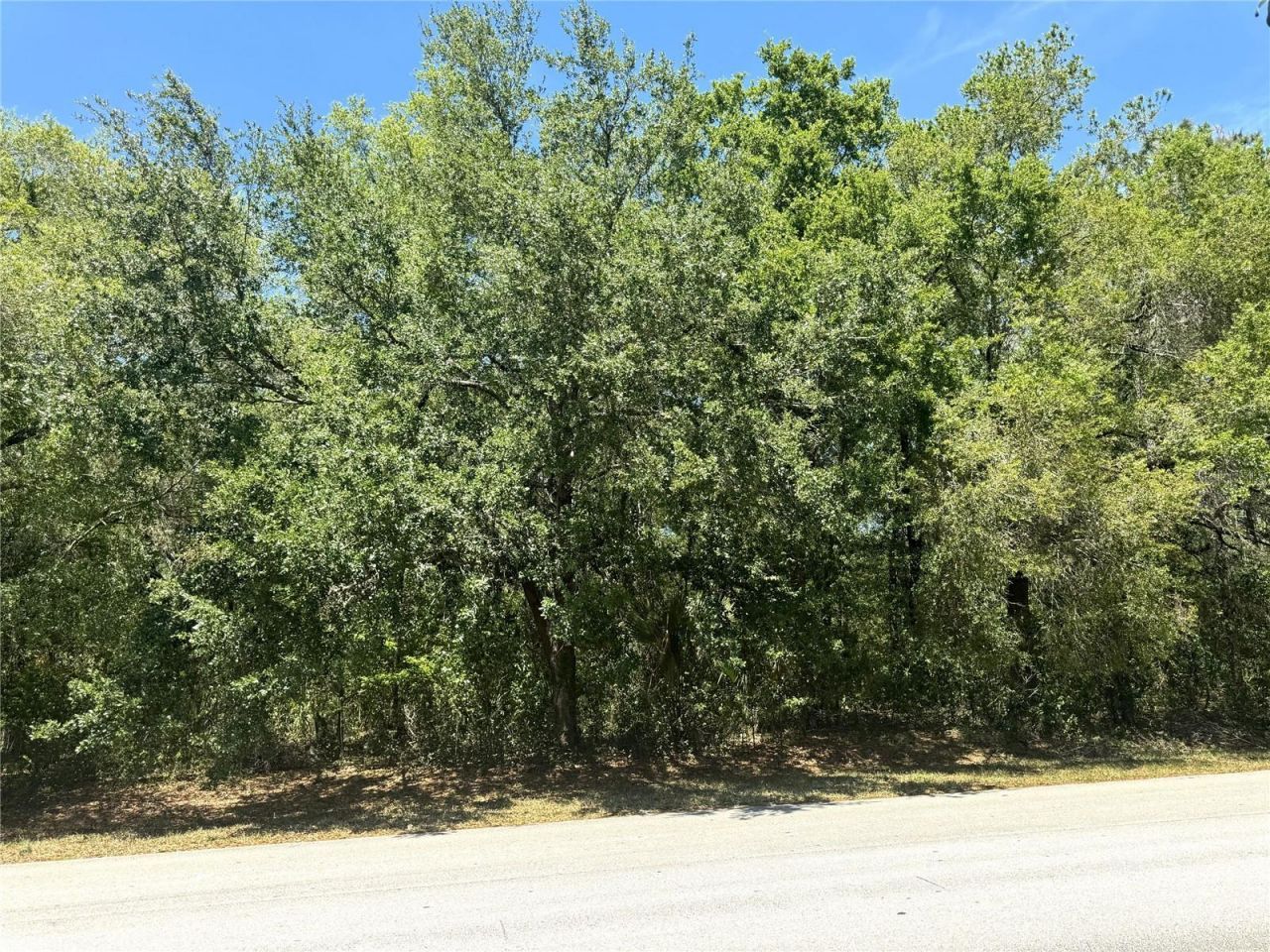 Markham Woods Road, Longwood, FL 32779 Photo