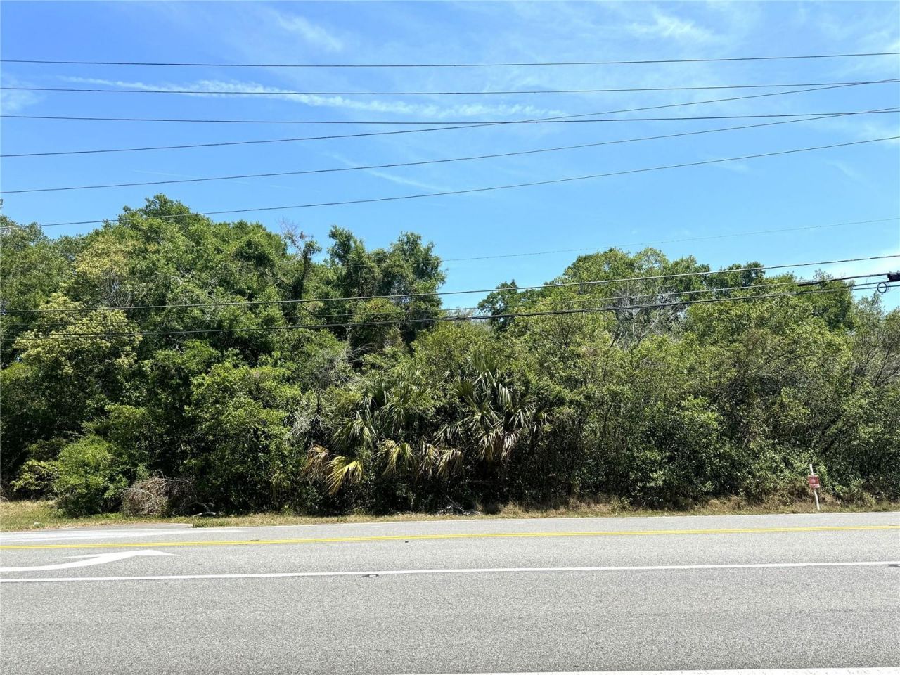 Markham Woods Road, Longwood, FL 32779 Photo