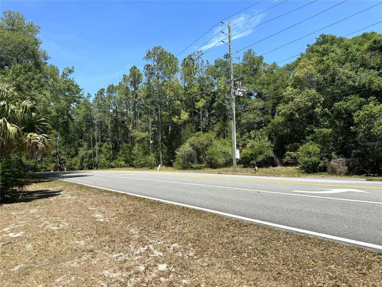Markham Woods Road, Longwood, FL 32779 Photo