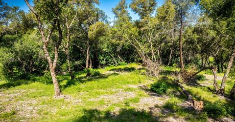 237 Sunshine Ln, Mokelumne Hill, CA 95245 Photo