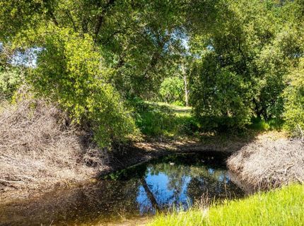 237 Sunshine Ln, Mokelumne Hill, CA 95245 Photo
