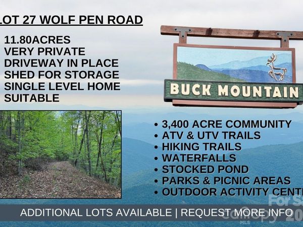TBD Wolf Pen Road, Purlear, NC 28665