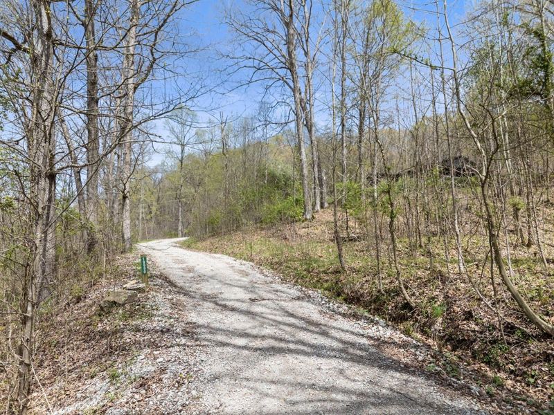 19990 Sowers Road, Laurelville, OH 43135 Photo 54