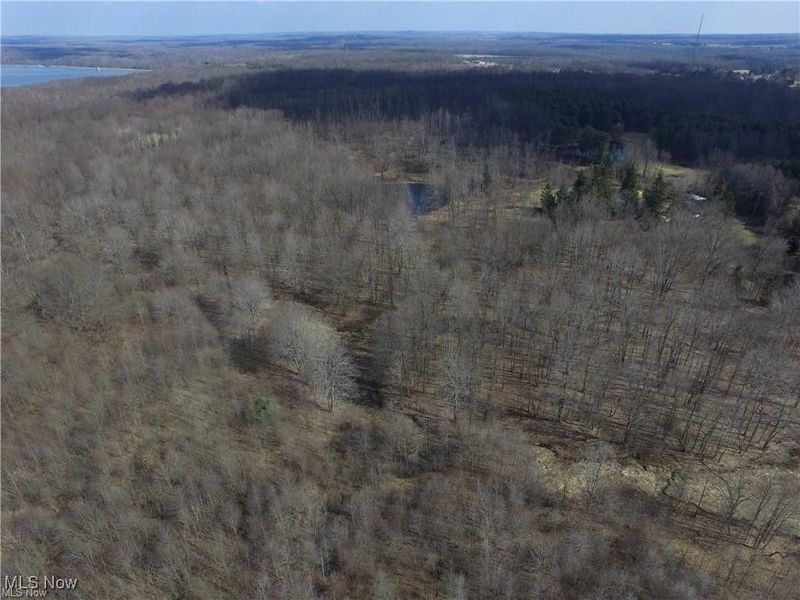 12676 Main Market Road, Burton, OH 44021 Photo 9