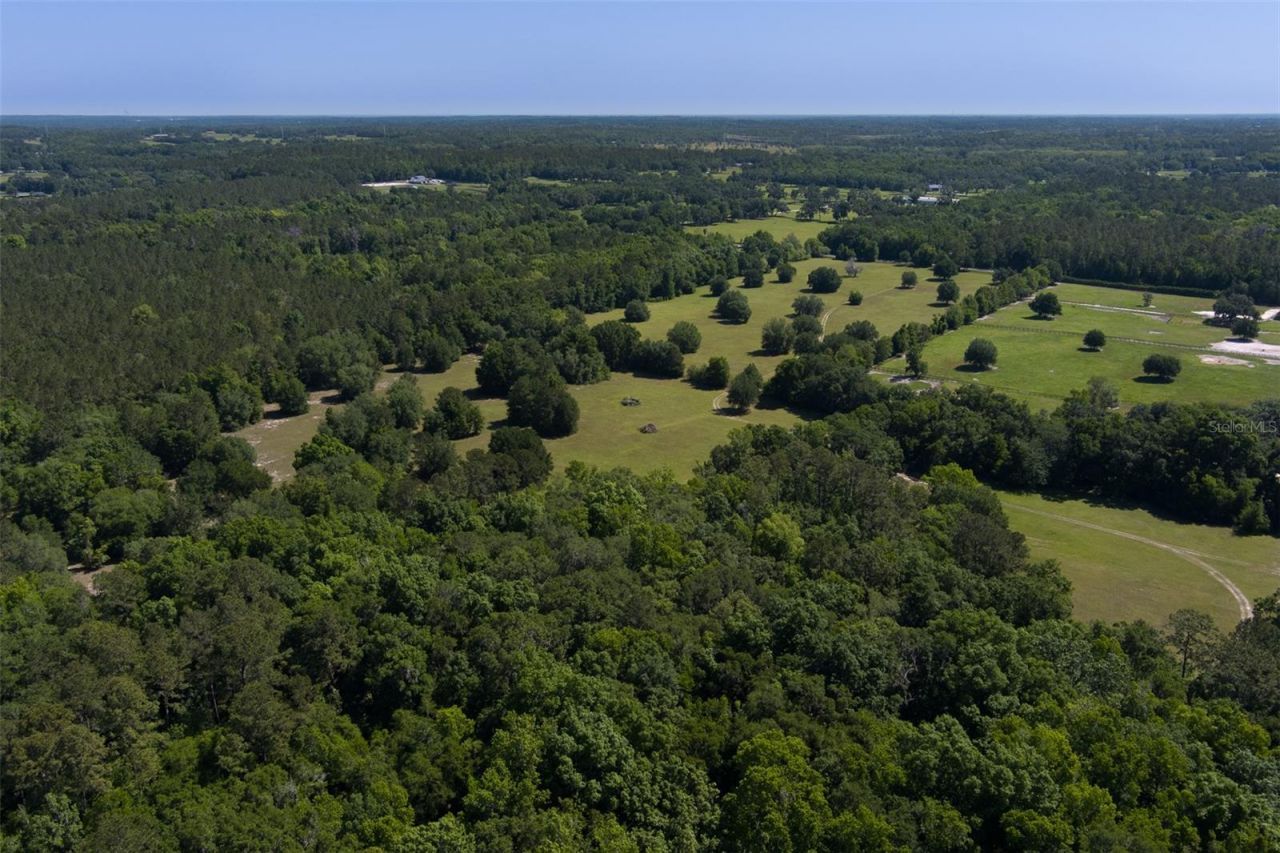 11420 NW 110th Avenue, Reddick, FL 32686 Photo