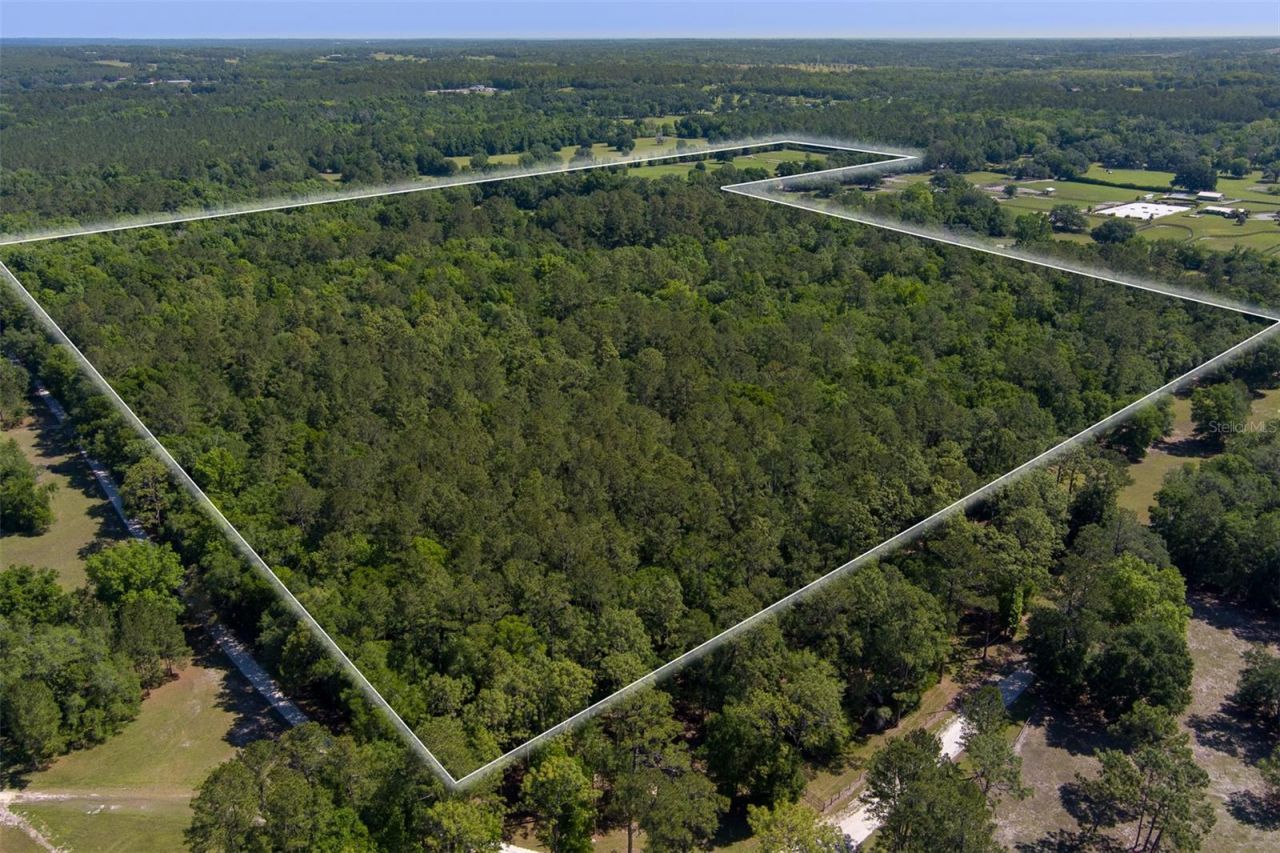 11420 NW 110th Avenue, Reddick, FL 32686 Photo