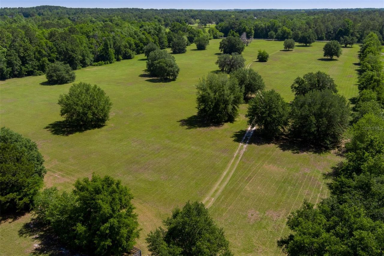 11420 NW 110th Avenue, Reddick, FL 32686 Photo