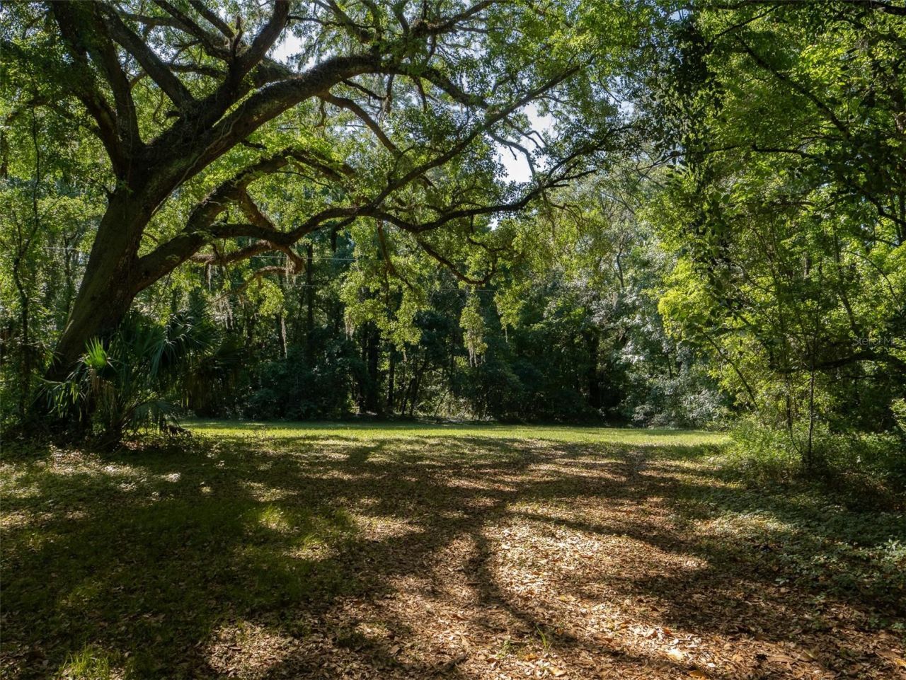 11420 NW 110th Avenue, Reddick, FL 32686 Photo