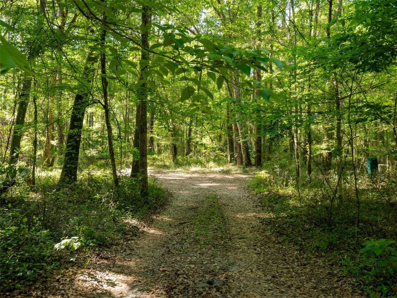 11420 NW 110th Avenue, Reddick, FL 32686 Photo