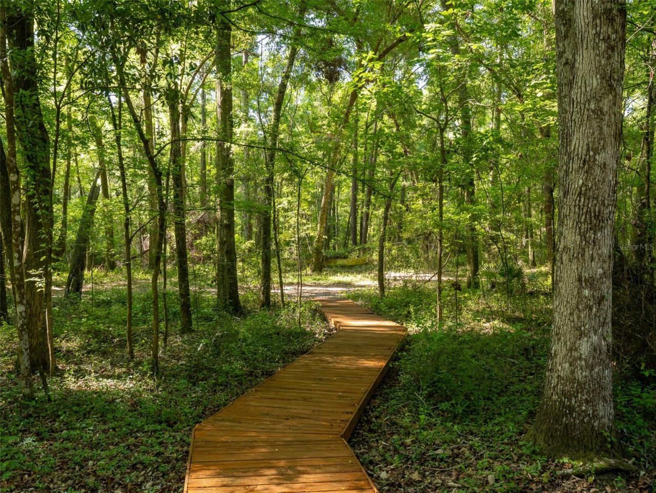 11420 NW 110th Avenue, Reddick, FL 32686 Photo