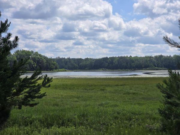 off McCollum Lake Road, Curran, MI 48728