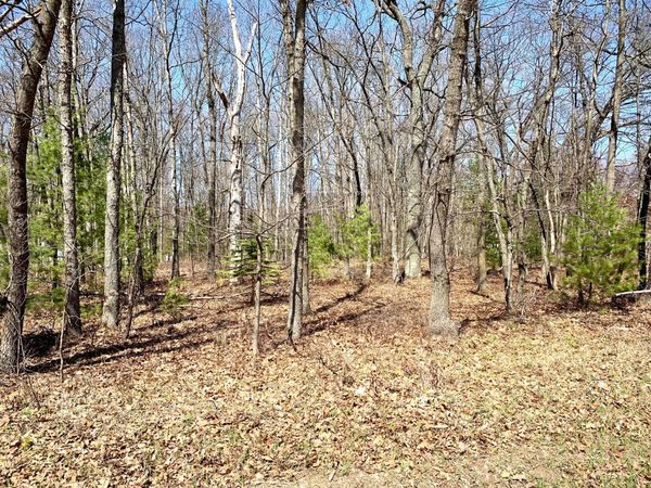 Lot 2 W Emery Road, Houghton Lake, MI 48629
