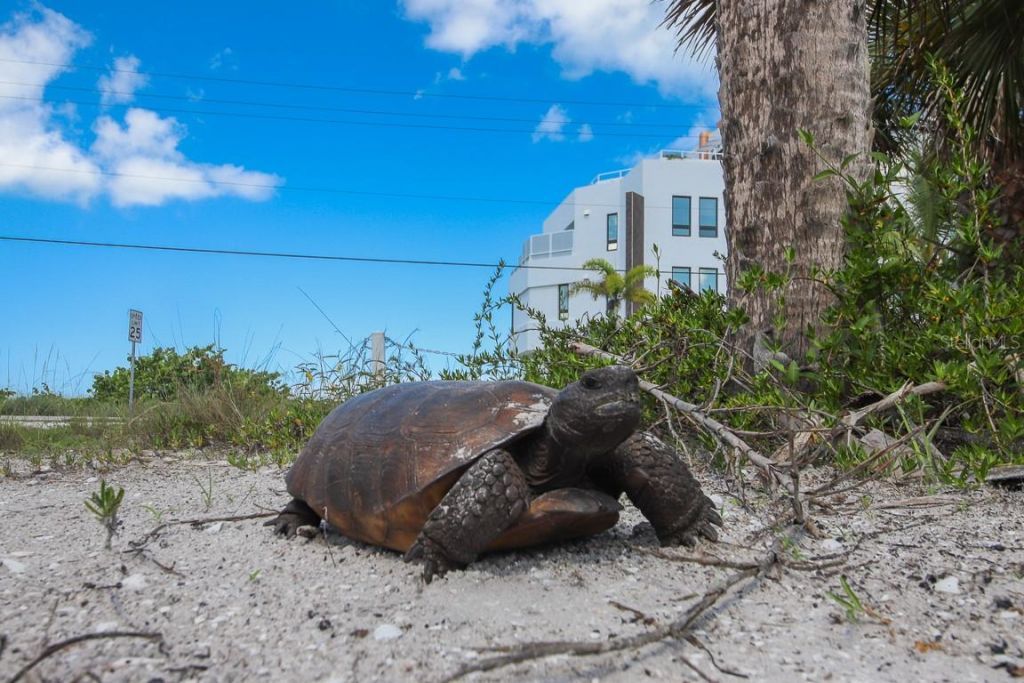 6890 Palm Island Drive, Placida, FL 33946 Photo