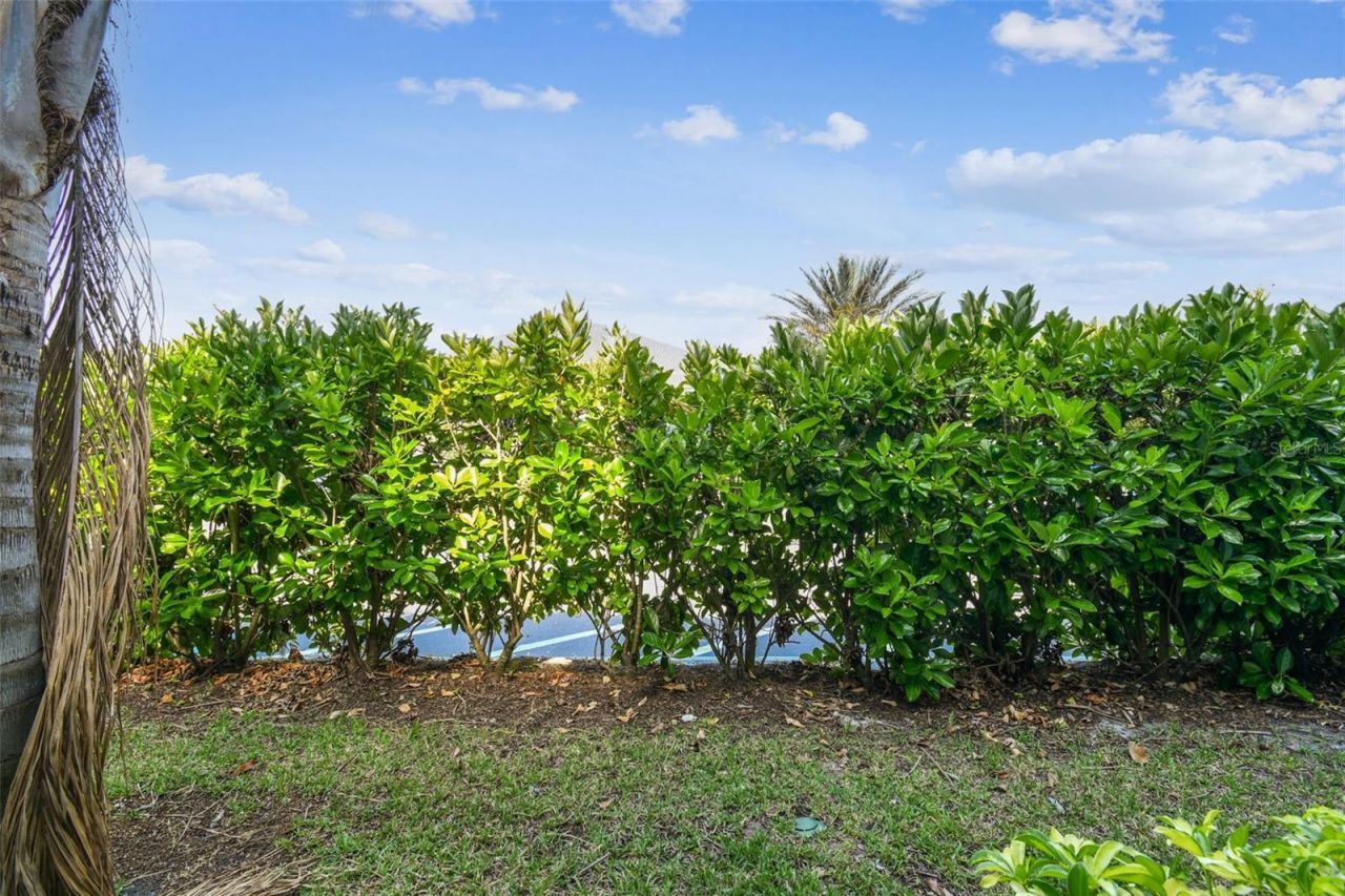1231 Godavari Way, Unit 103, Wesley Chapel, FL 33543 Photo