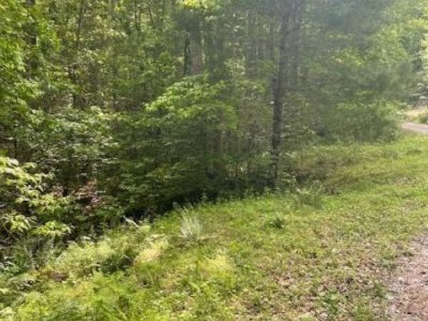 0 McCormick Drive, Dawsonville, GA 30534