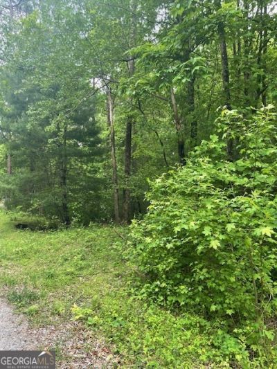 0 Mccormick Drive, Dawsonville, GA 30534 Main Photo