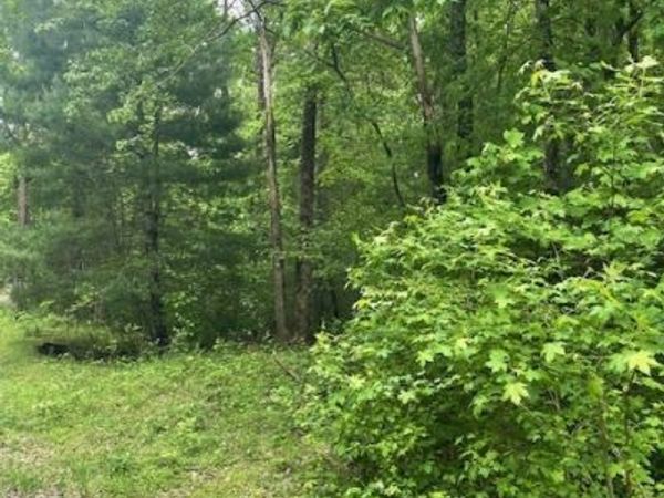 0 McCormick Drive, Dawsonville, GA 30534