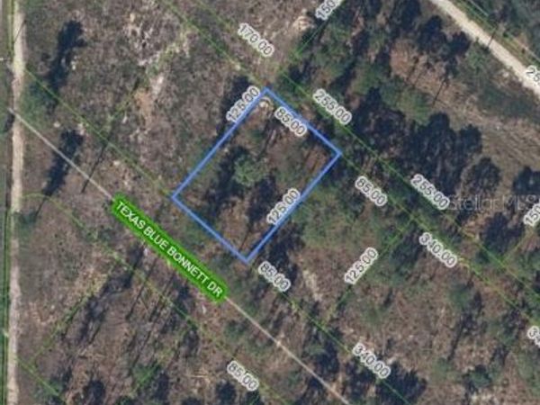 6139 TEXAS BLUE BONNETT DRIVE, SEBRING, FL 33876