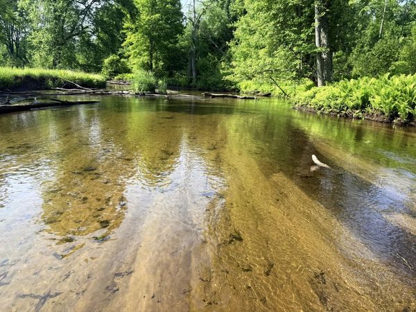 17639 N 20th Avenue, Marion, MI 49665