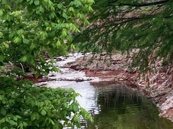 702 schubert, Fredericksburg, TX 78624