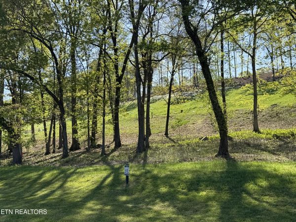 1031 Black Cove Lane, Loudon, TN 37774