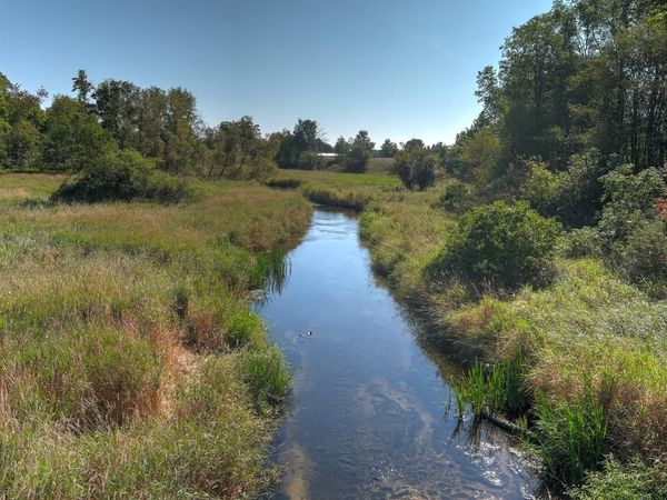 34 Road E, Cadillac, MI 49601