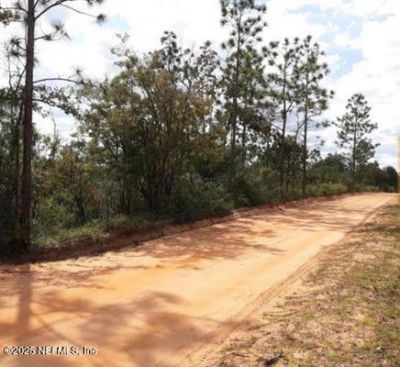 Tbd Persimmon Lane, Marianna, FL 32446 Photo