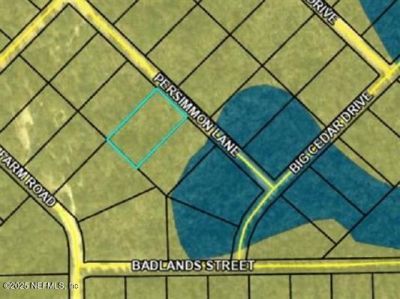 Tbd Persimmon Lane, Marianna, FL 32446 Photo