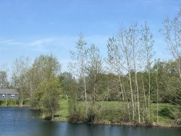 VL Turtle Lake Road, North Branch Twp, MI 48461