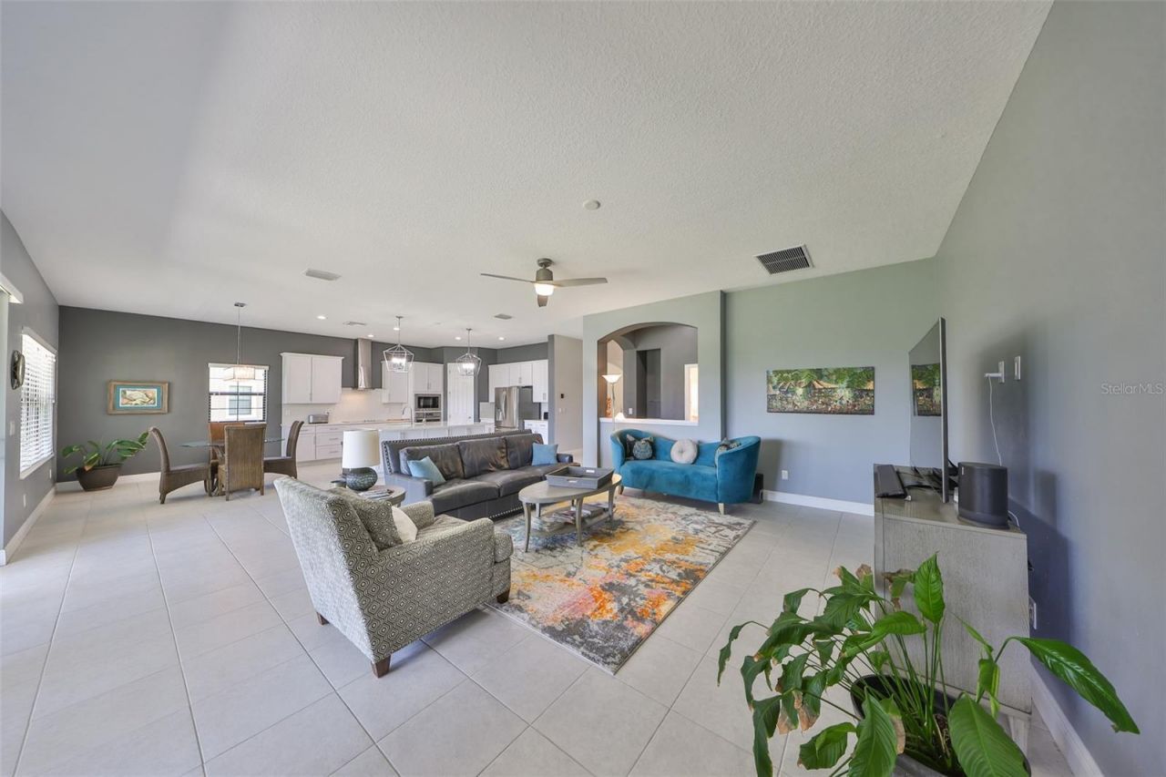 11909 Climbing Fern Avenue, Riverview, FL 33579 Photo