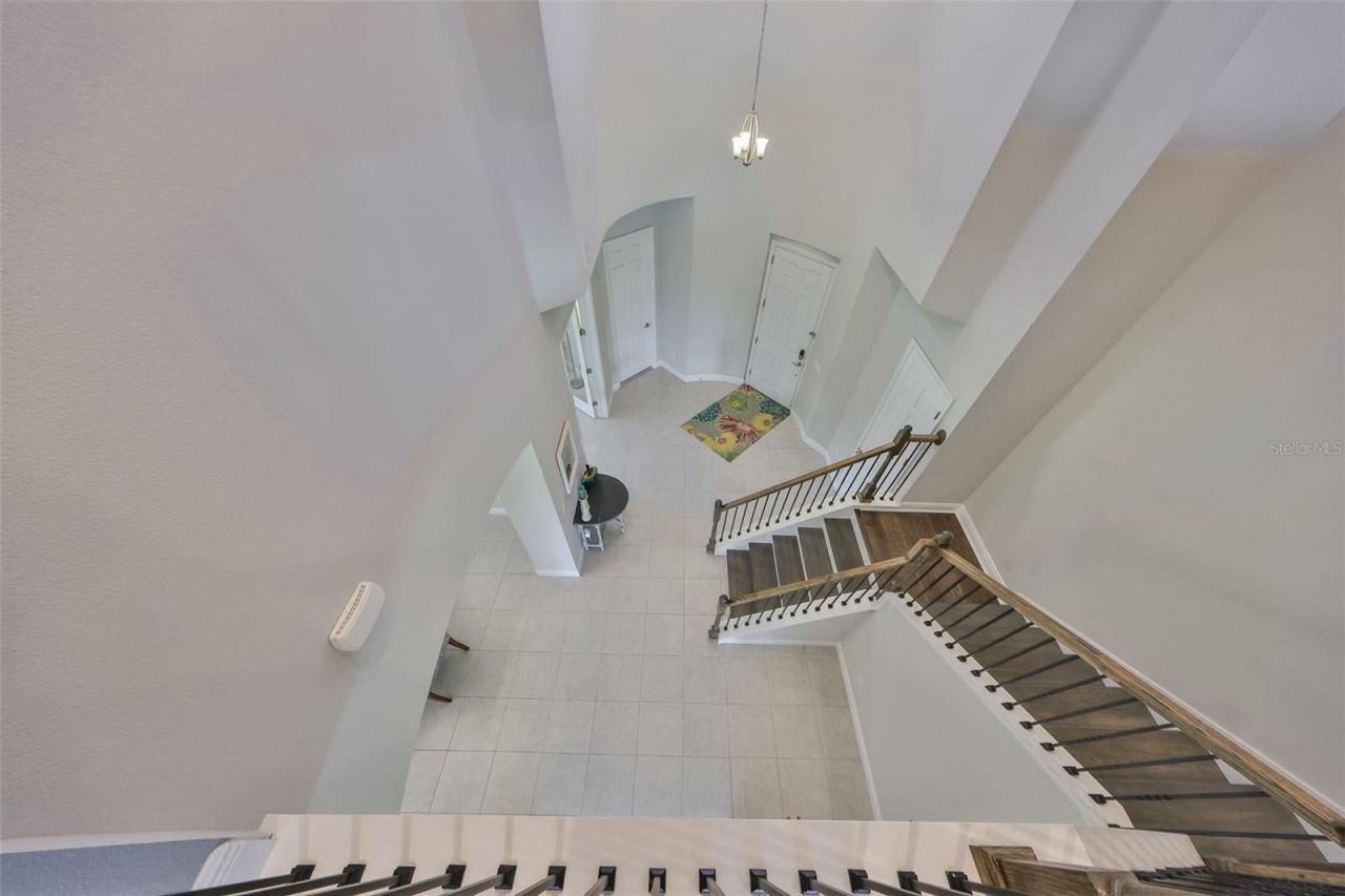 11909 Climbing Fern Avenue, Riverview, FL 33579 Photo