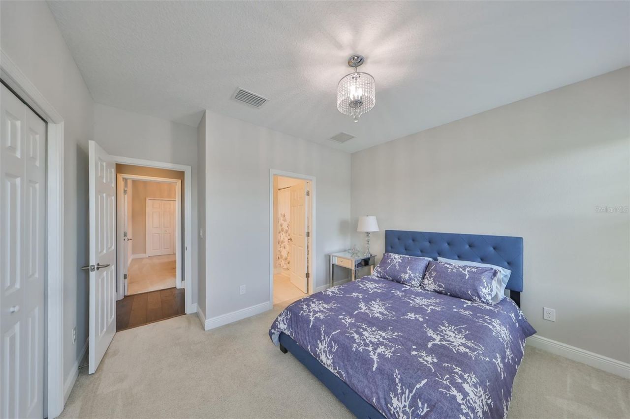 11909 Climbing Fern Avenue, Riverview, FL 33579 Photo