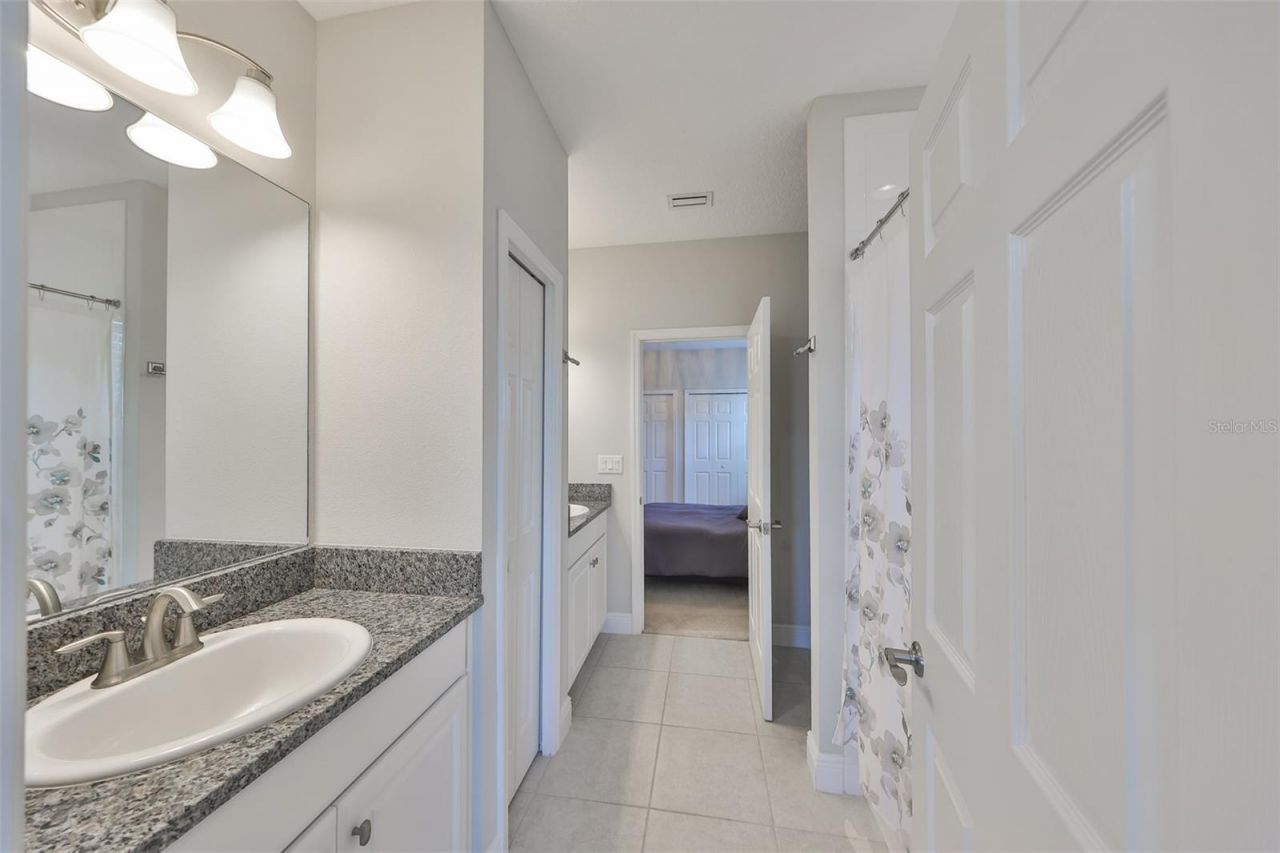 11909 Climbing Fern Avenue, Riverview, FL 33579 Photo