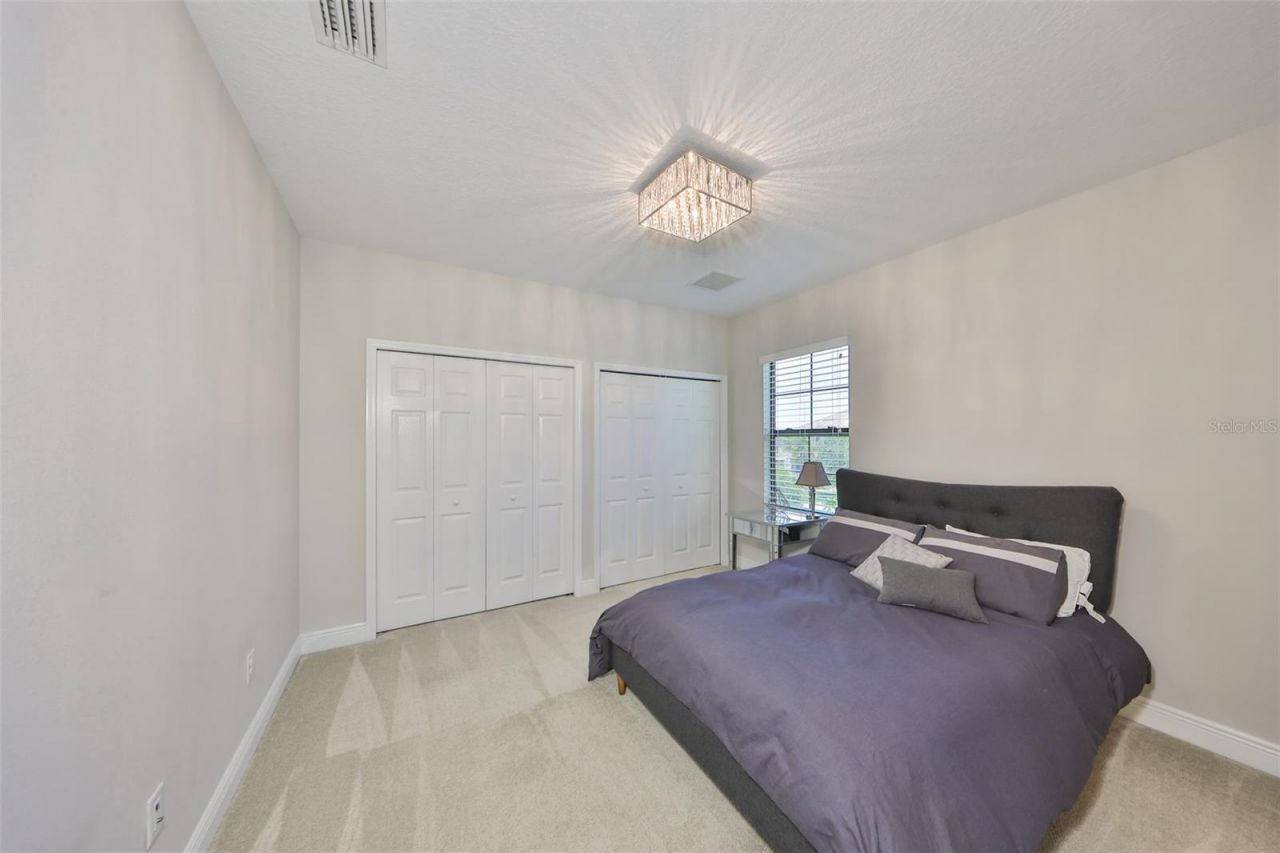 11909 Climbing Fern Avenue, Riverview, FL 33579 Photo