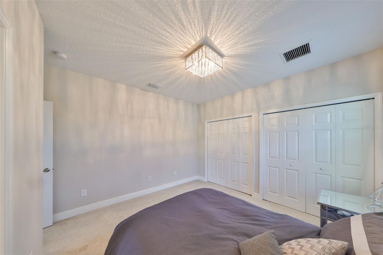 11909 Climbing Fern Avenue, Riverview, FL 33579 Photo