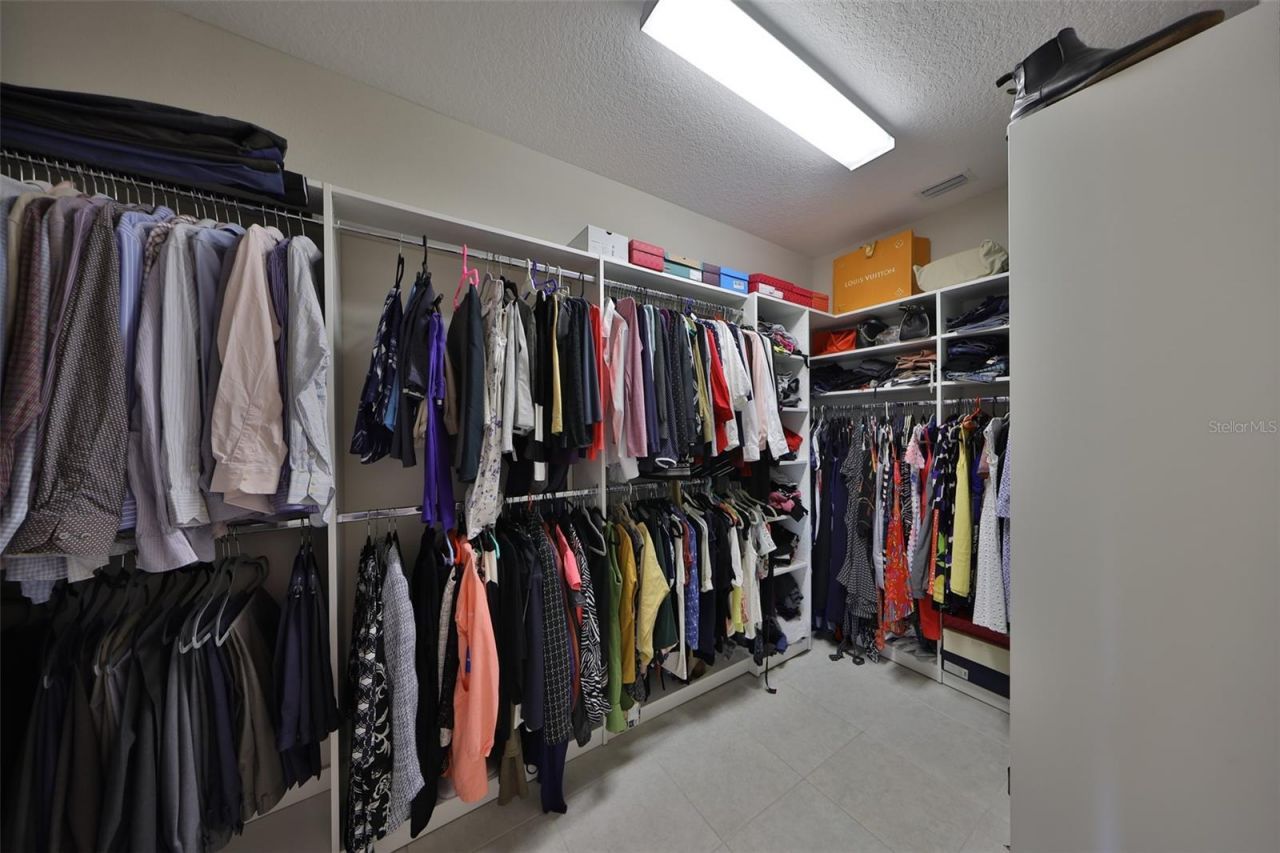 11909 Climbing Fern Avenue, Riverview, FL 33579 Photo