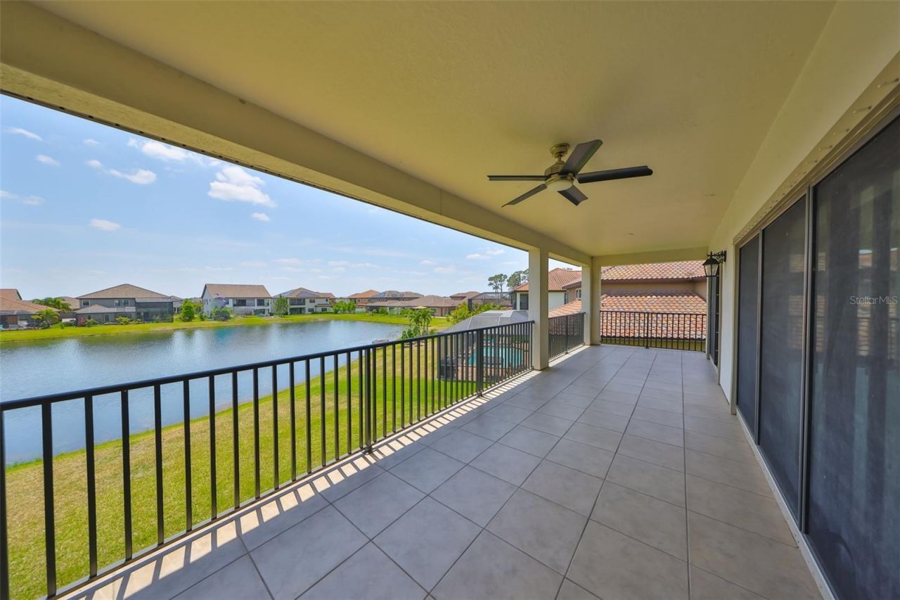 11909 Climbing Fern Avenue, Riverview, FL 33579 Photo