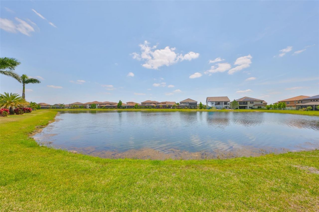 11909 Climbing Fern Avenue, Riverview, FL 33579 Photo