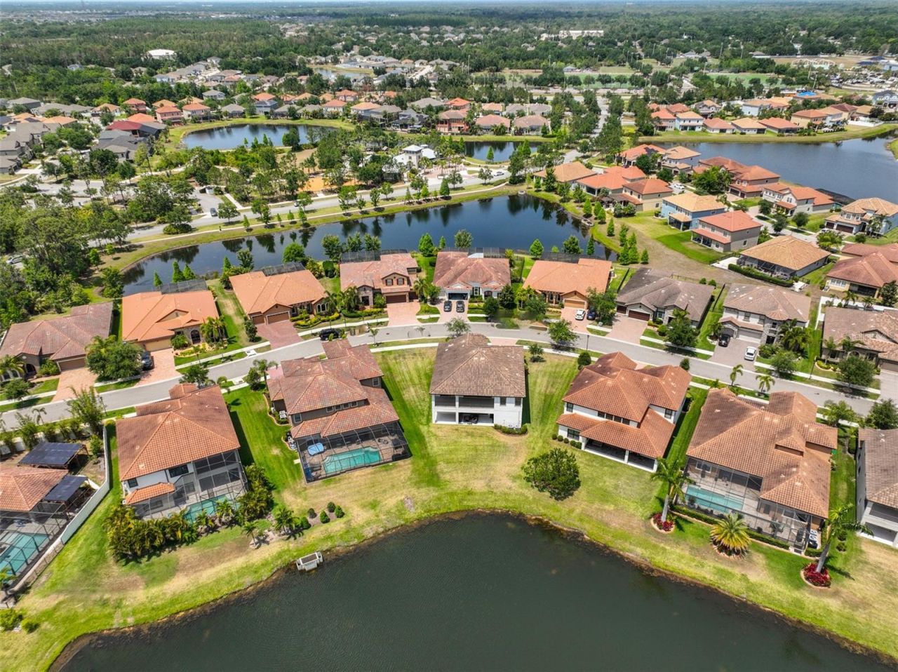 11909 Climbing Fern Avenue, Riverview, FL 33579 Photo