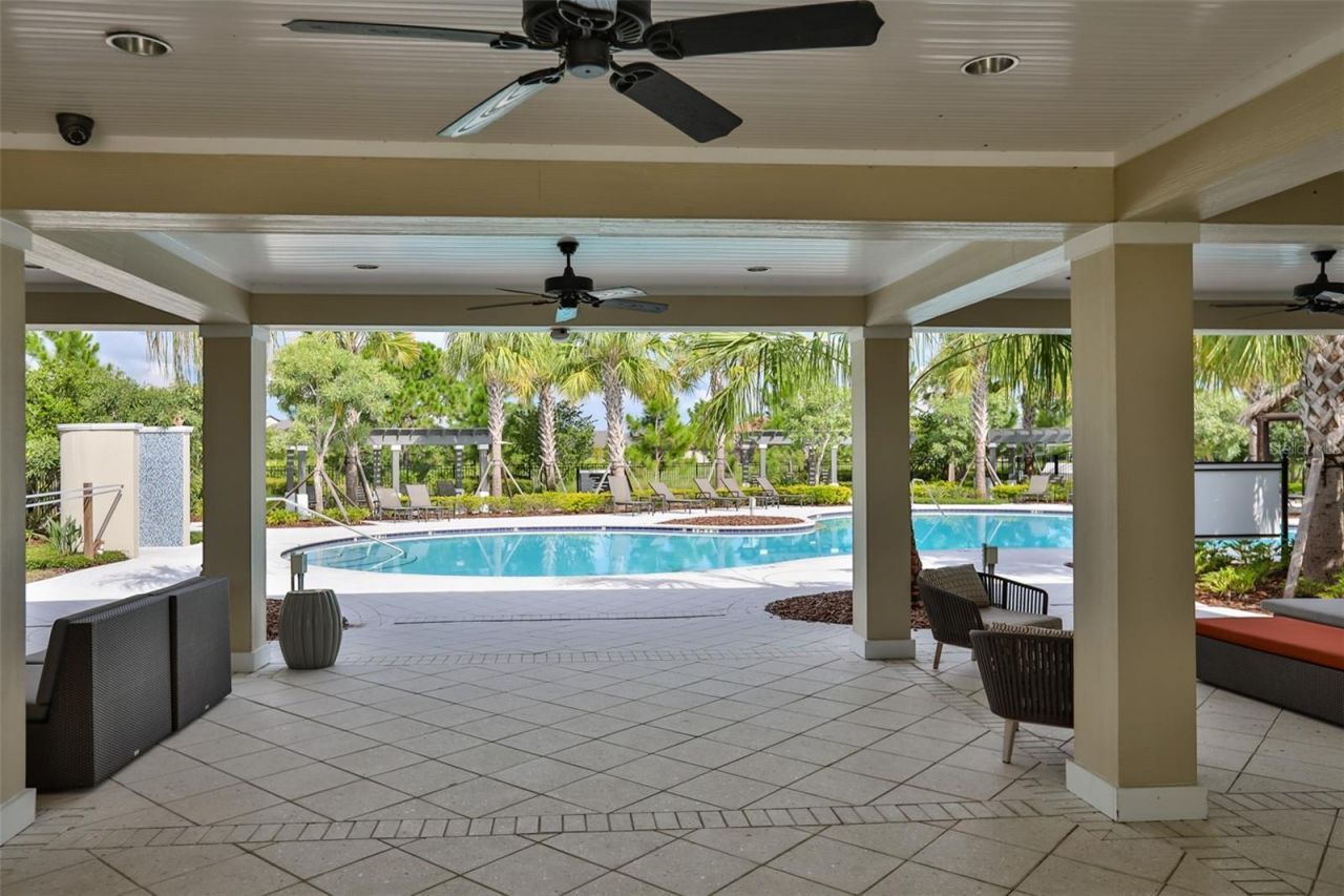 11909 Climbing Fern Avenue, Riverview, FL 33579 Photo