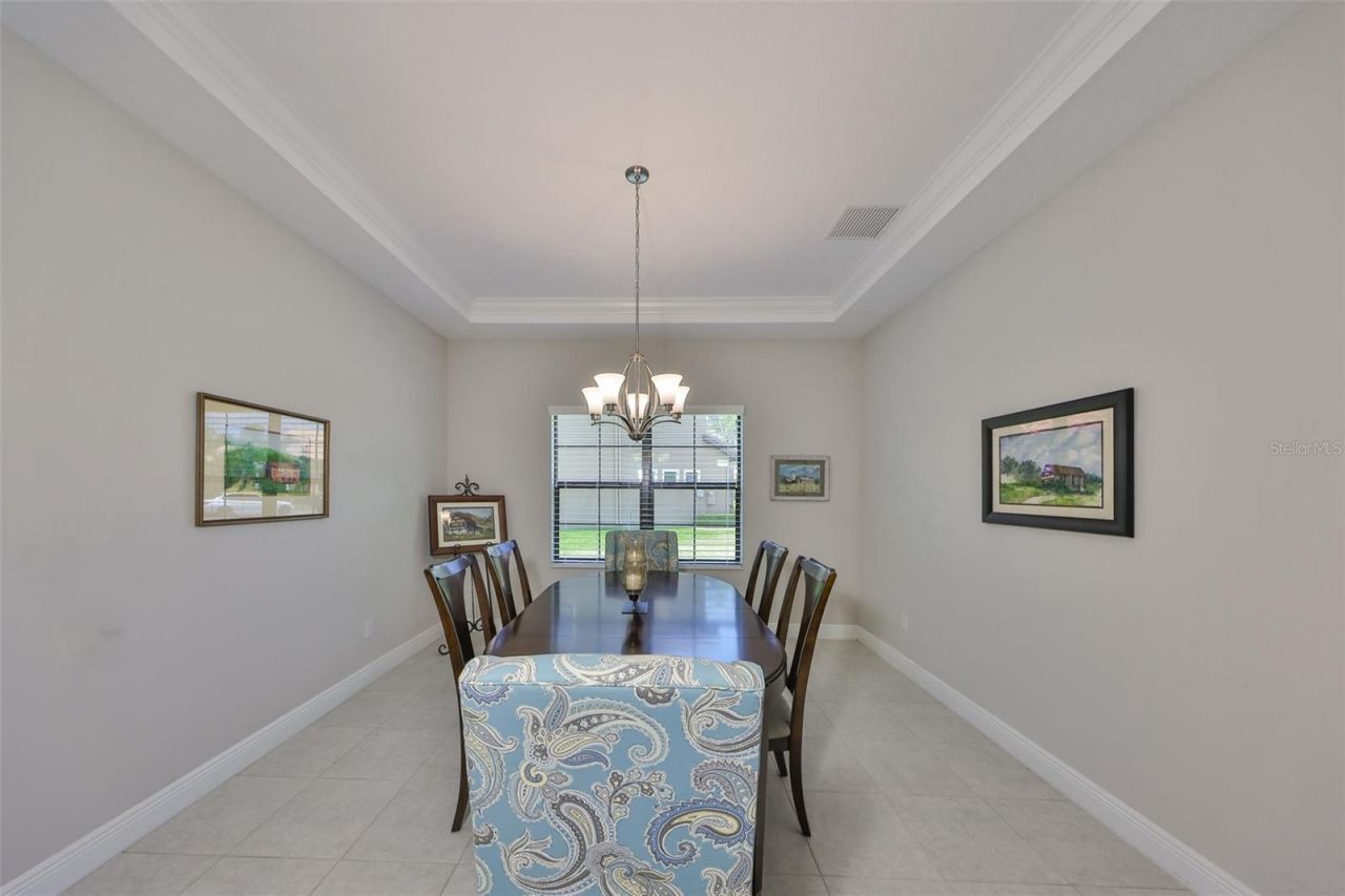 11909 Climbing Fern Avenue, Riverview, FL 33579 Photo