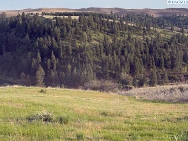 Lot 5 Red Tail Ridge, Colfax, WA 99111