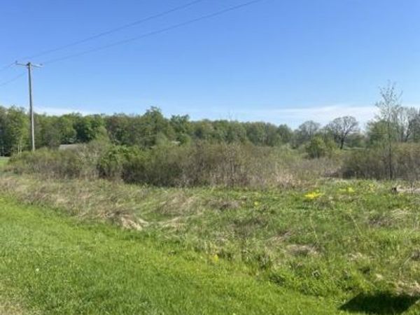 VL TURTLE LAKE Road, Rich Twp, MI 48461