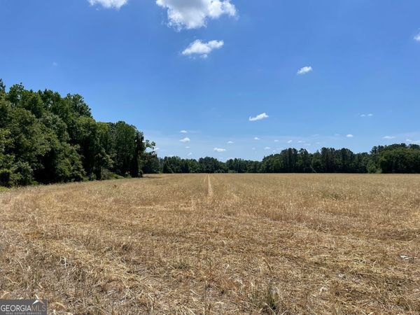 0 Old Moore Road, Portal, GA 30450