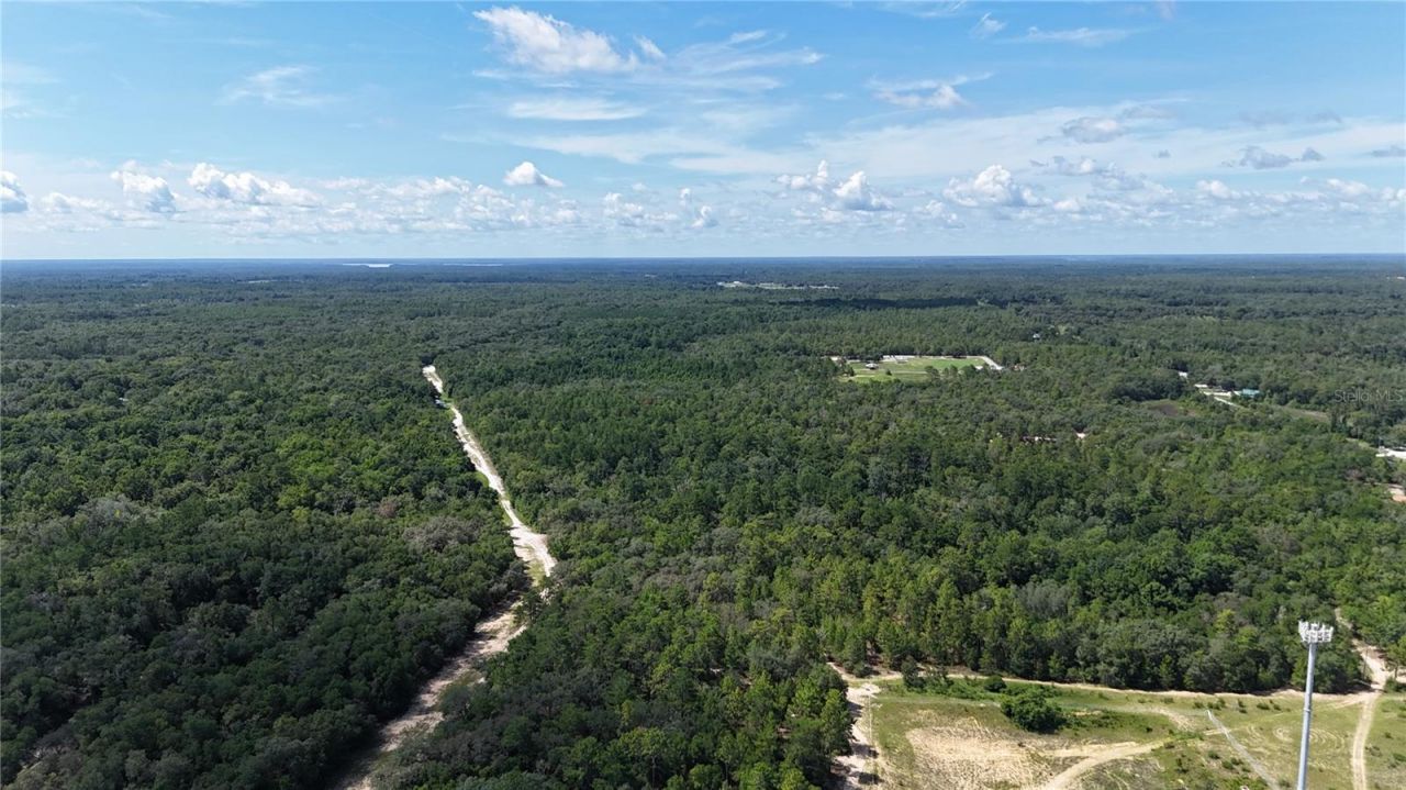 1129 State Road 20, Interlachen, FL 32148 Photo