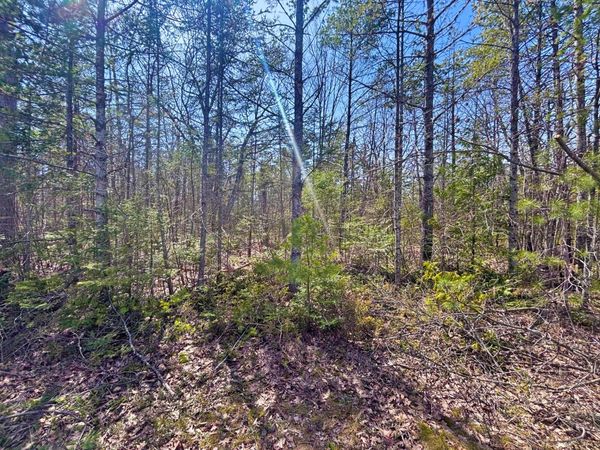 Lot 375 Kauffman Road, Presque Isle, MI 49777