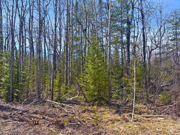 Lot 312 Pineview Drive, Presque Isle, MI 49777