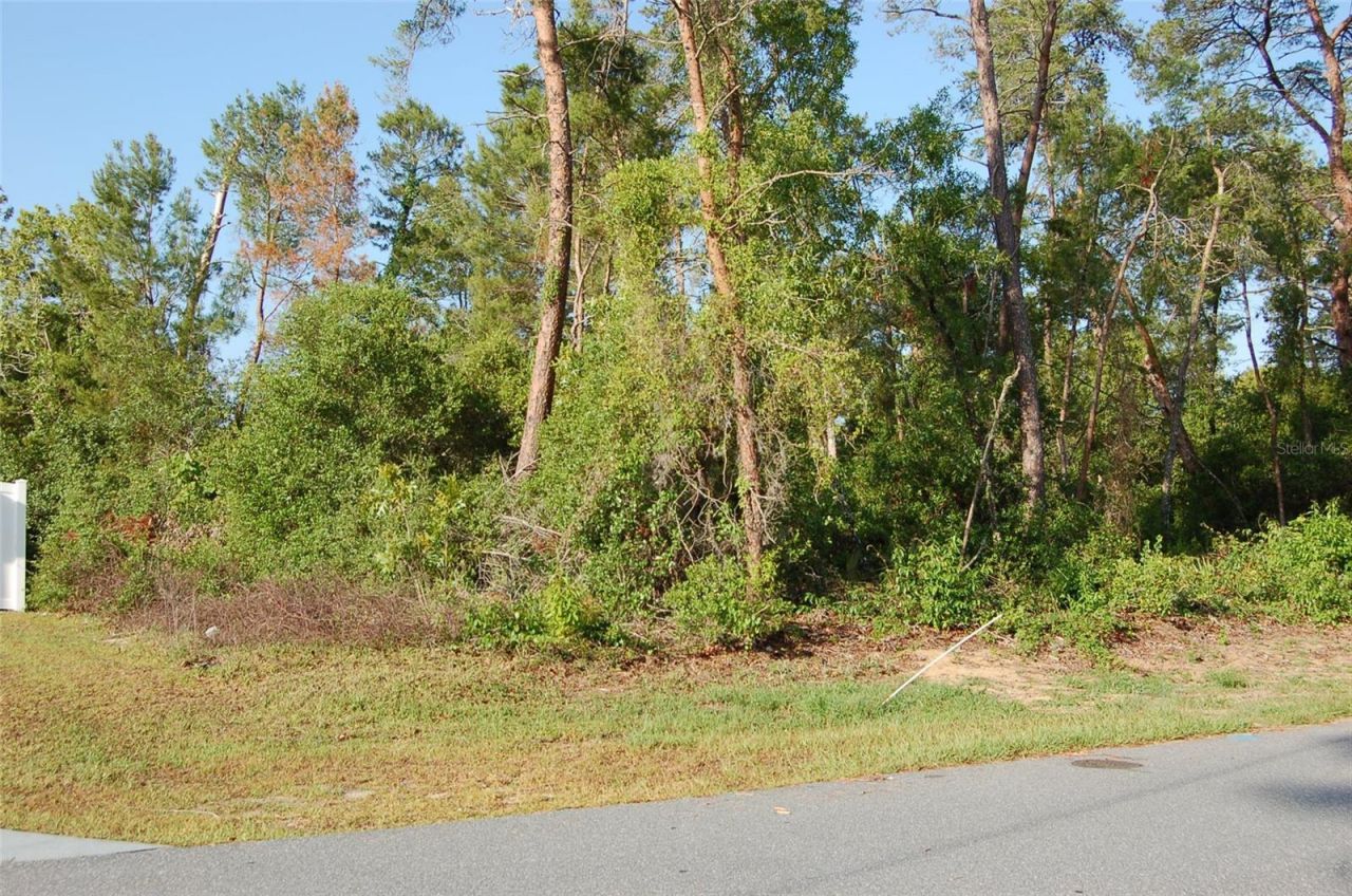 Sw 129 Place, Lot #7, Ocala, FL 34473 Photo