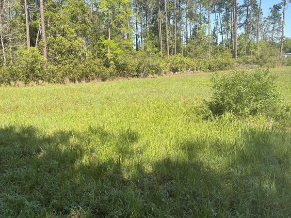 4405 COUNTY ROAD 218, Middleburg, FL 32068